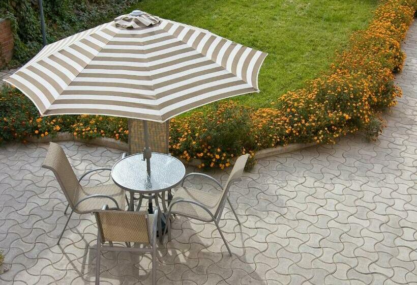 Номер Стандарт, Alpinist