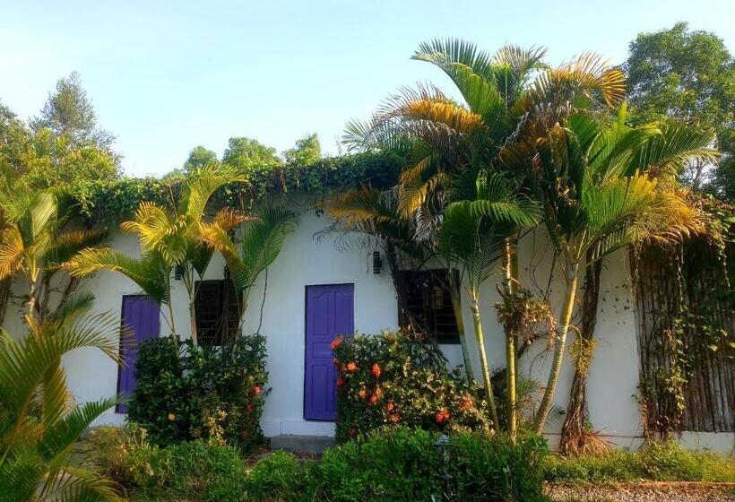 غرفة ديلوكس مطلة على حمام السباحة, Bohemiaz Resort And Spa Kampot