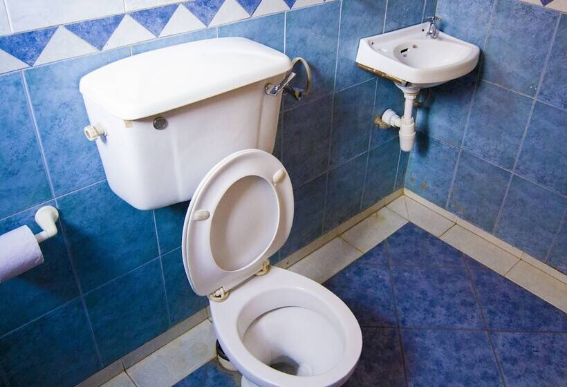 标准单人间, Mooreland Hotel Nairobi