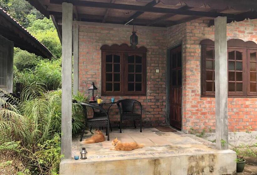 带大床的标准间, Pondok Keladi Langkawi Guesthouse