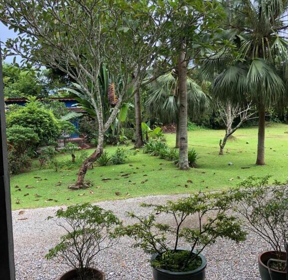 غرفة قياسية سرير كينج, Pondok Keladi Langkawi Guesthouse