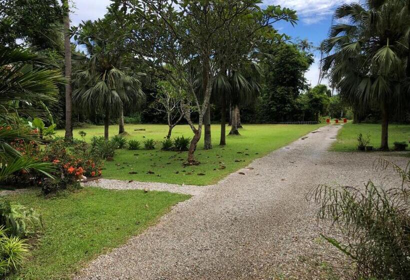 غرفة قياسية سرير كينج, Pondok Keladi Langkawi Guesthouse