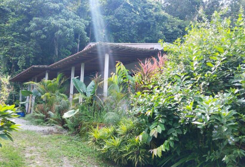 كابينة, Pondok Keladi Langkawi Guesthouse