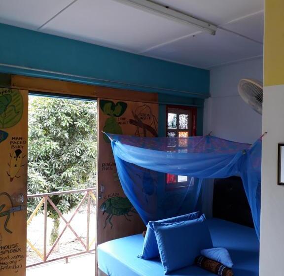 Номер Стандарт, Tahan Guest House