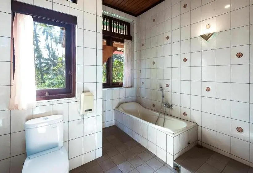 ビラホテル1ベッドルーム, Banyualit Spa 'n Resort Lovina