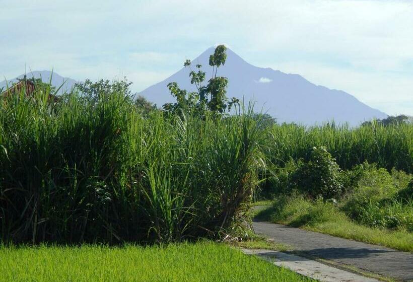 Номер Стандарт, Alamanda Family Villas, Pool & Local Tours