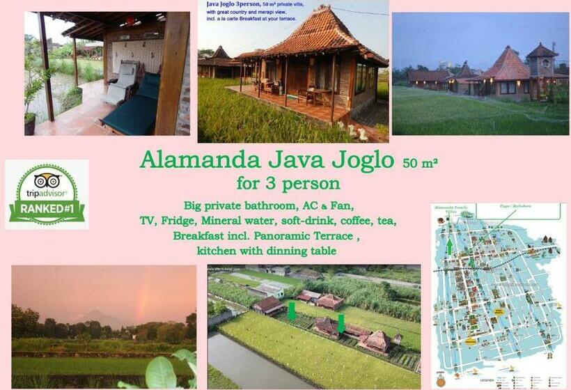 Номер Стандарт, Alamanda Family Villas, Pool & Local Tours