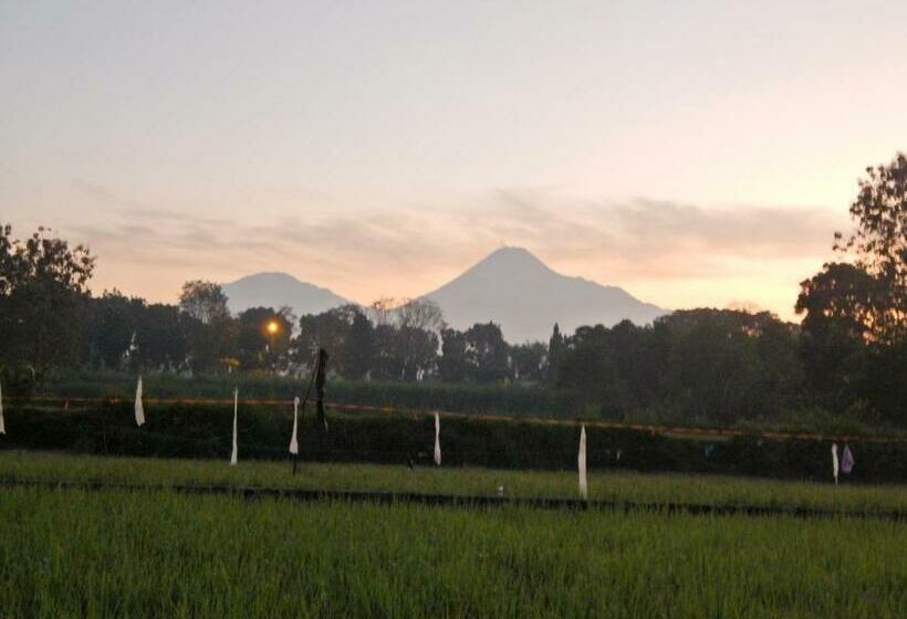 Номер Стандарт, Alamanda Family Villas, Pool & Local Tours