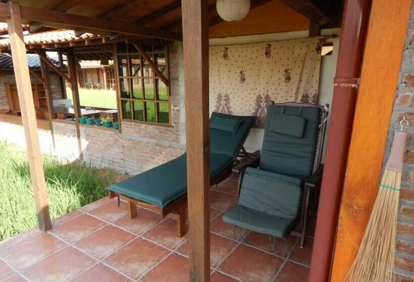 Номер Стандарт, Alamanda Family Villas, Pool & Local Tours