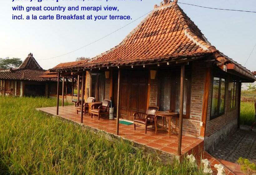 Номер Стандарт, Alamanda Family Villas, Pool & Local Tours