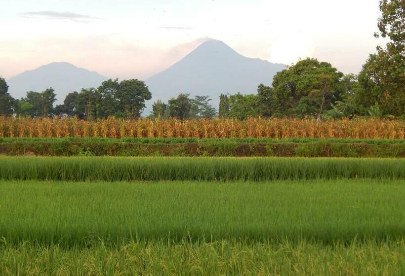 Номер Стандарт, Alamanda Family Villas, Pool & Local Tours