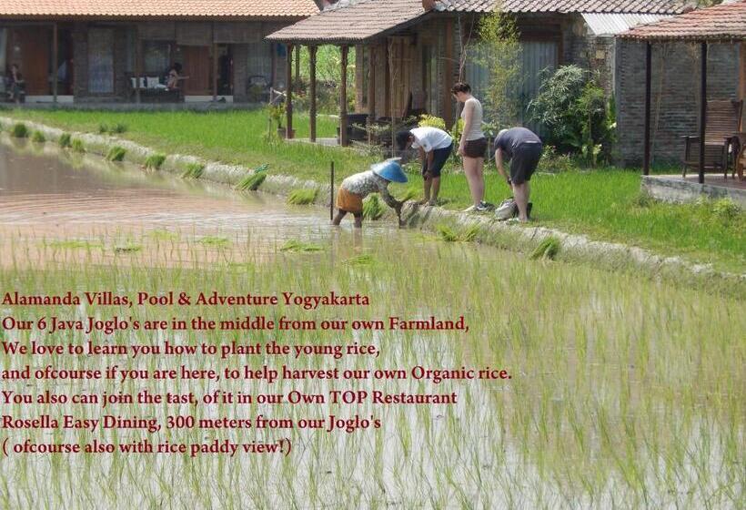 Номер Стандарт, Alamanda Family Villas, Pool & Local Tours