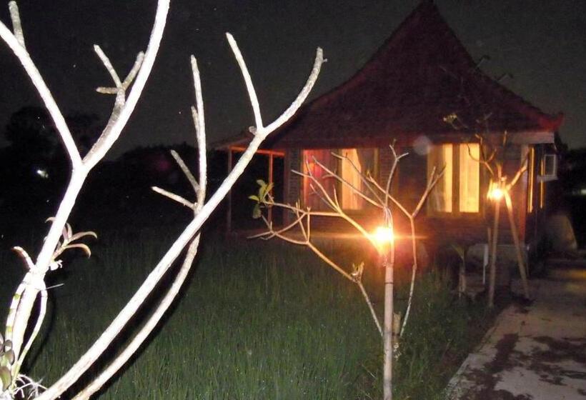 Номер Стандарт, Alamanda Family Villas, Pool & Local Tours