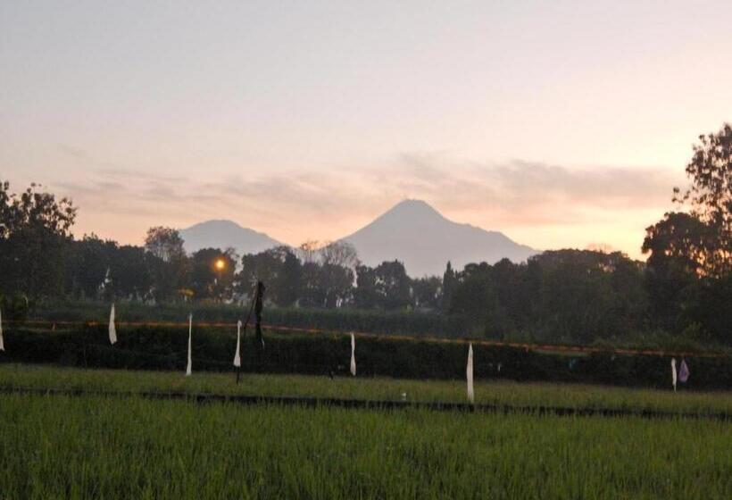 Бунгало Superior, Alamanda Family Villas, Pool & Local Tours