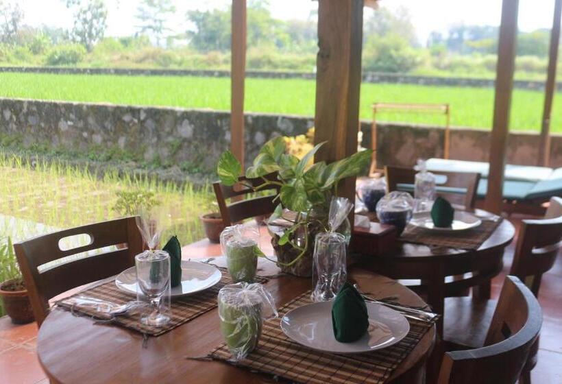 Бунгало Стандарт 2 Спальни, Alamanda Family Villas, Pool & Local Tours