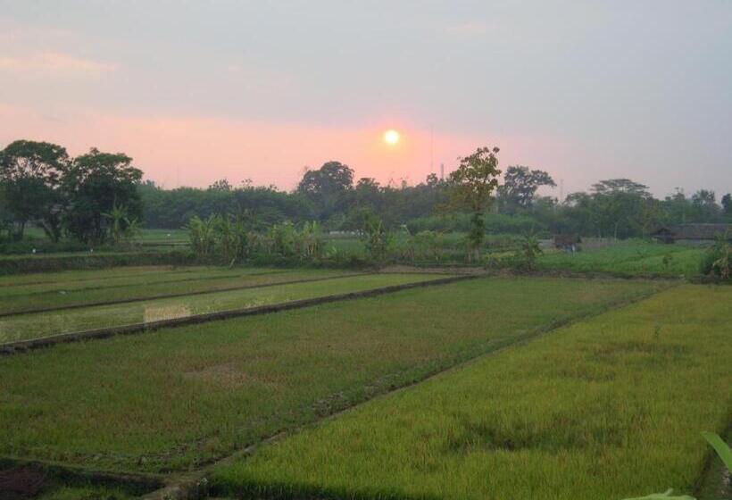 Студио Стандарт с Видом, Alamanda Family Villas, Pool & Local Tours