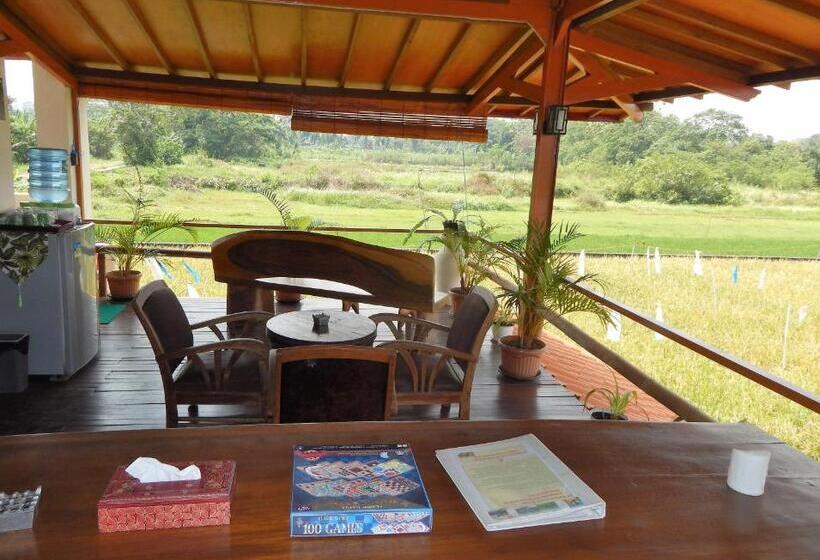 Студио Стандарт с Видом, Alamanda Family Villas, Pool & Local Tours