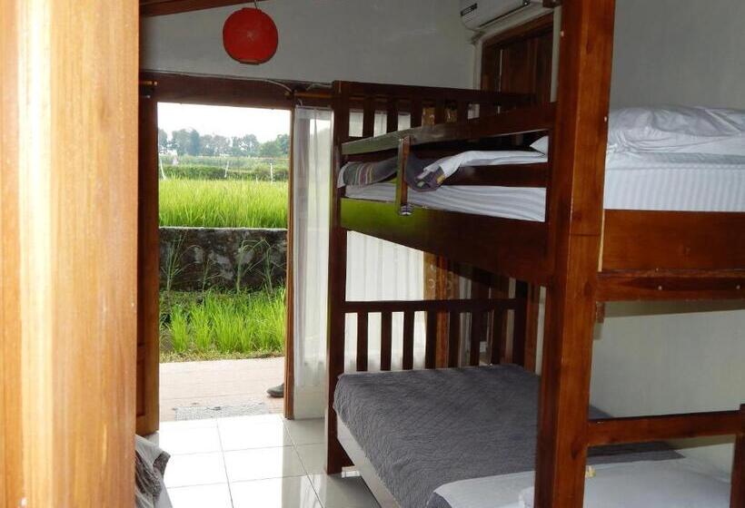 Семейный Номер, Alamanda Family Villas, Pool & Local Tours