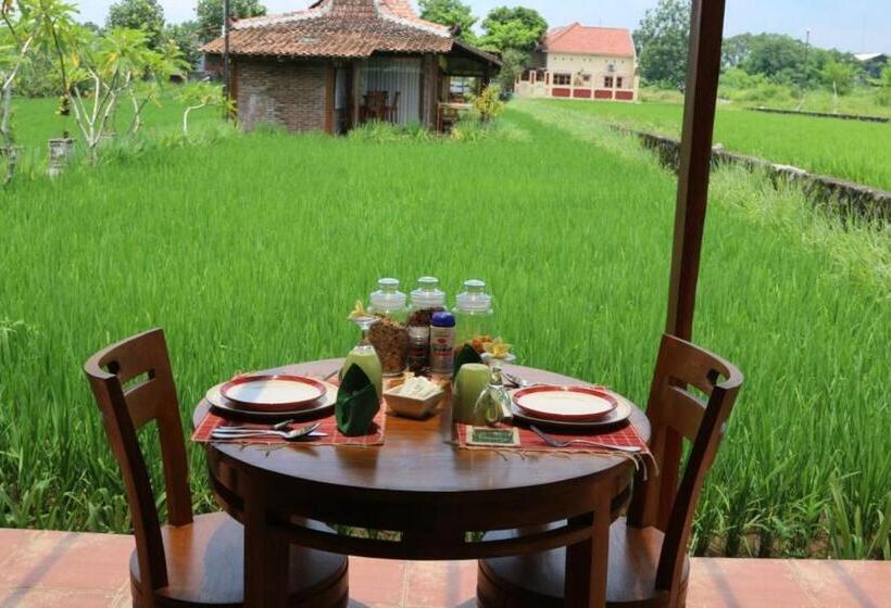 Бунгало Стандарт 2 Спальни, Alamanda Family Villas, Pool & Local Tours