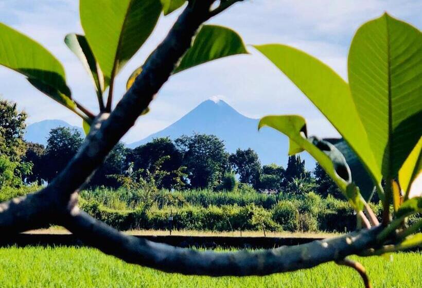 Бунгало Стандарт 2 Спальни, Alamanda Family Villas, Pool & Local Tours