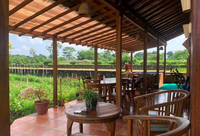 Бунгало Стандарт 2 Спальни, Alamanda Family Villas, Pool & Local Tours