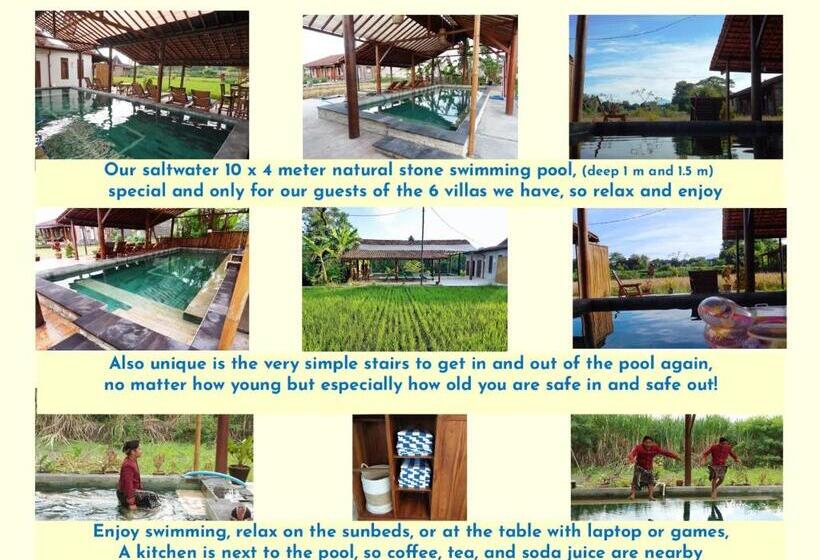 Бунгало Стандарт 2 Спальни, Alamanda Family Villas, Pool & Local Tours