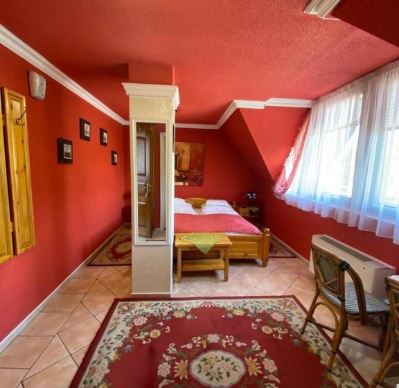 Номер Стандарт, Fehér Hattyú Panzió