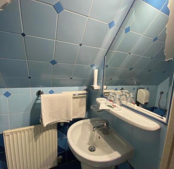 Номер Стандарт, Fehér Hattyú Panzió