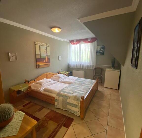 Номер Стандарт, Fehér Hattyú Panzió