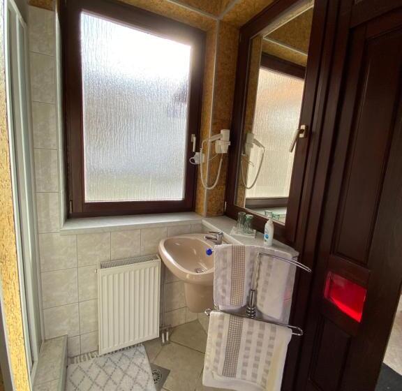 Апартаменты 1 Спальня с Террасой, Fehér Hattyú Panzió