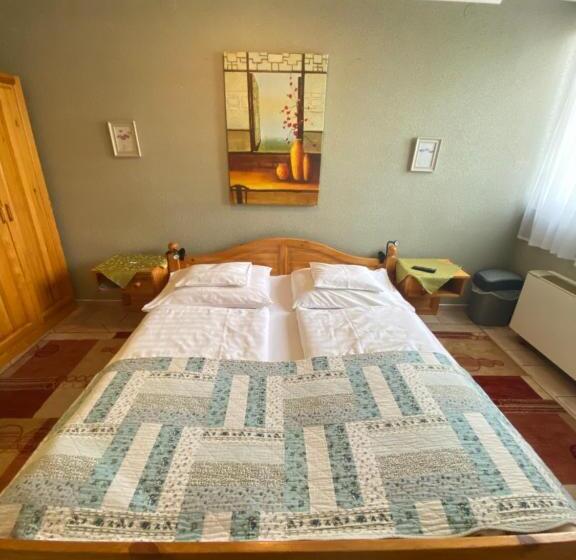 Номер Стандарт, Fehér Hattyú Panzió