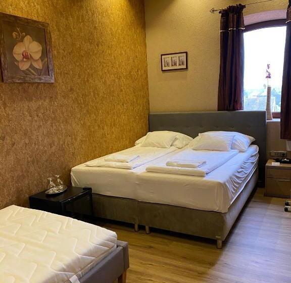 غرفة قياسية, Malom Club Panzió