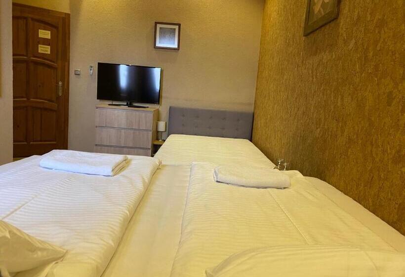 غرفة قياسية, Malom Club Panzió