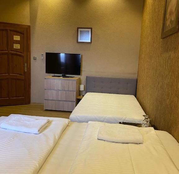 غرفة قياسية, Malom Club Panzió