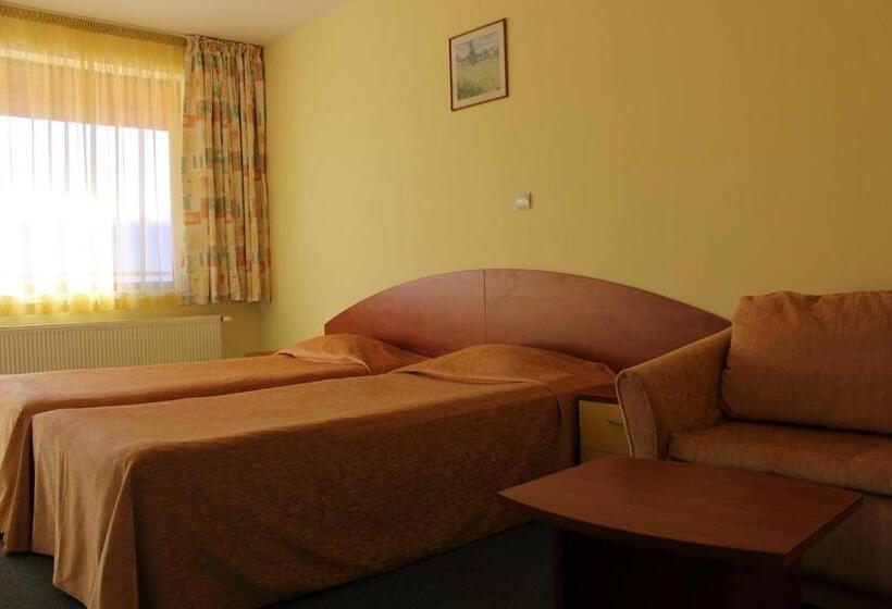 标准间带阳台, Grand