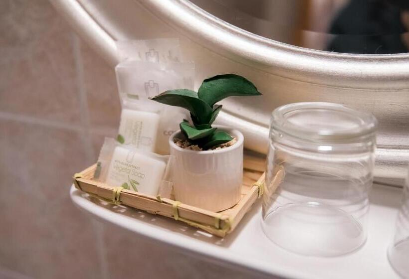 スタンダードルーム, Vinum