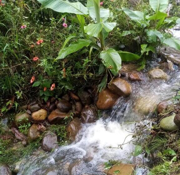 带阳台的三人标准间, River Spot Lodge