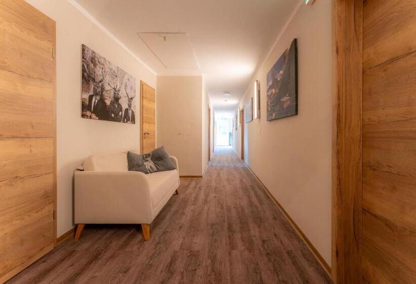 Номер Deluxe Одноместный, Gasthof Neuhaus