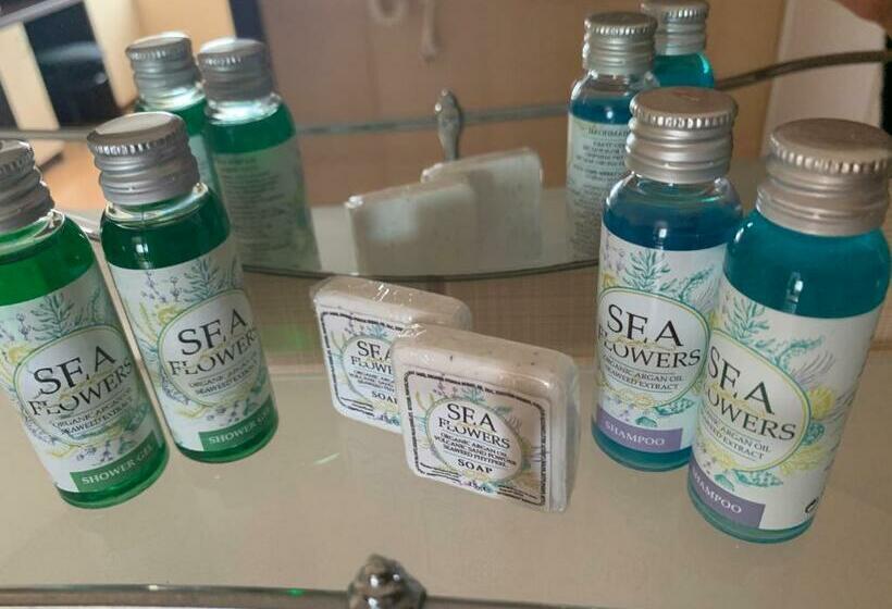 اتاق استاندارد, Family Hotel Piter