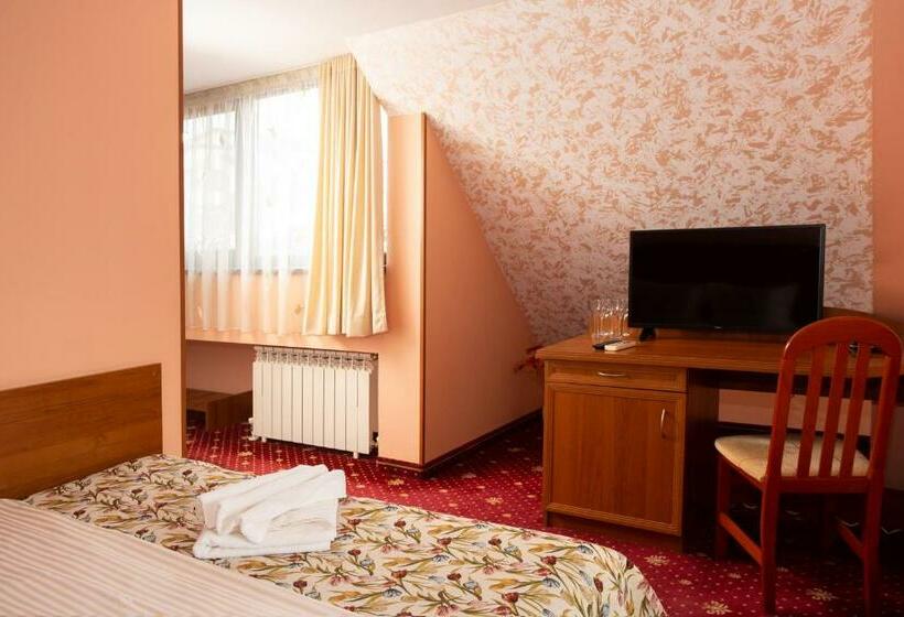 スタンダードシングルルーム, Contessa