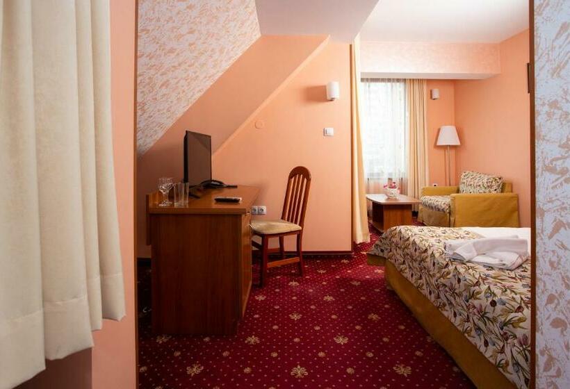 スタンダードシングルルーム, Contessa