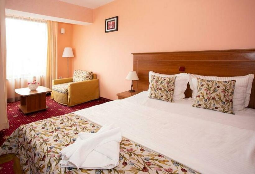 スタンダードシングルルーム, Contessa