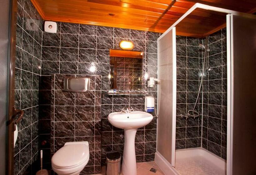 Номер Стандарт, Edi