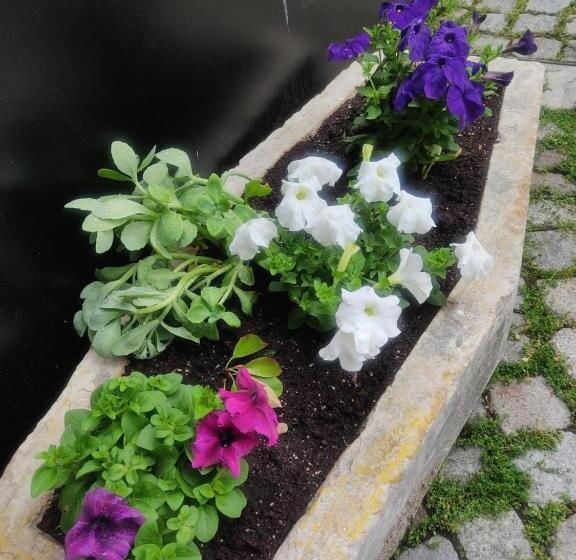 اتاق استاندارد, Mini Hotel Bohemi