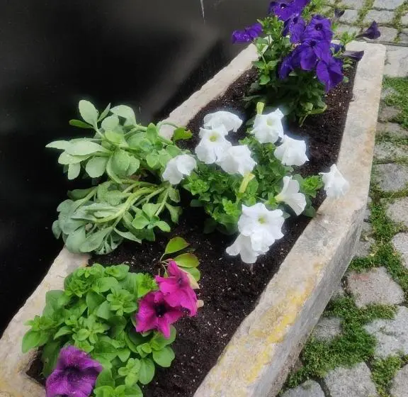 اتاق استاندارد, Mini Hotel Bohemi