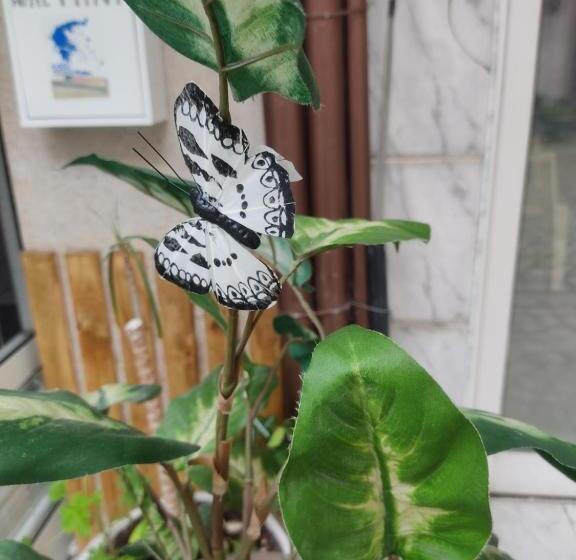 اتاق استاندارد, Mini Hotel Bohemi