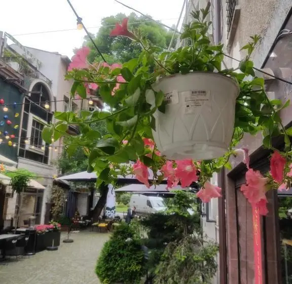 اتاق استاندارد, Mini Hotel Bohemi
