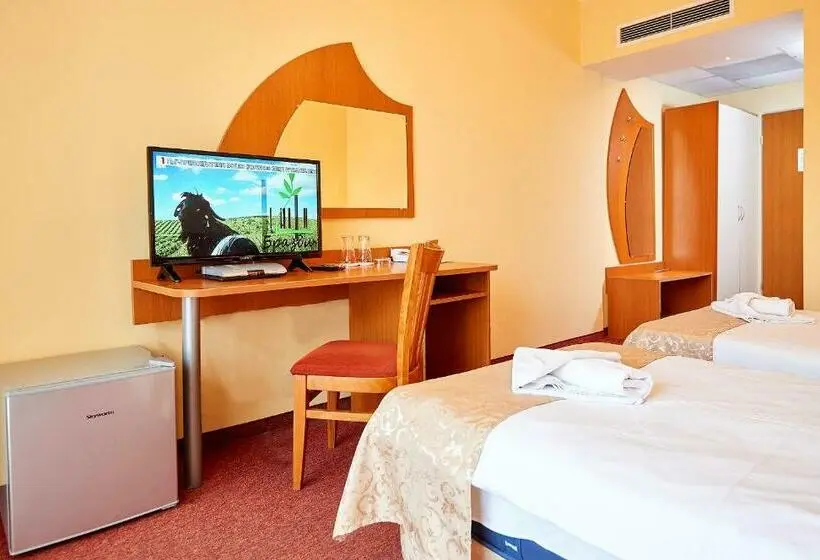 اتاق استاندارد, Paradise Hotel & Relax Center