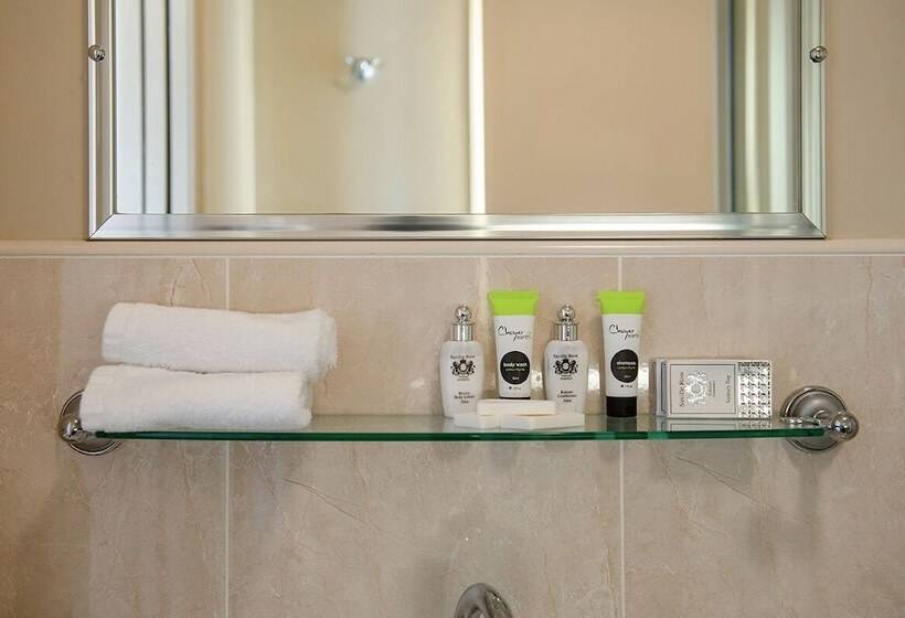 适合残疾人使用的标准间, Prince Of Wales Hotel Gulgong