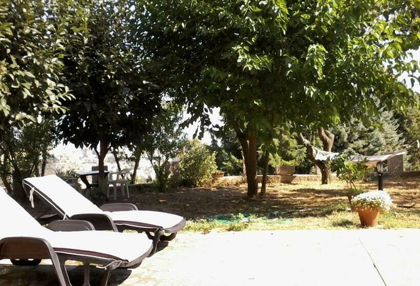 דירת שני חדרים, B&b Meladormo